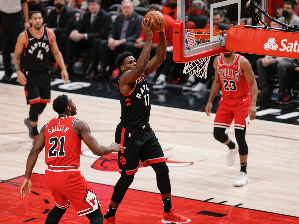 机或电脑的 机或电脑的